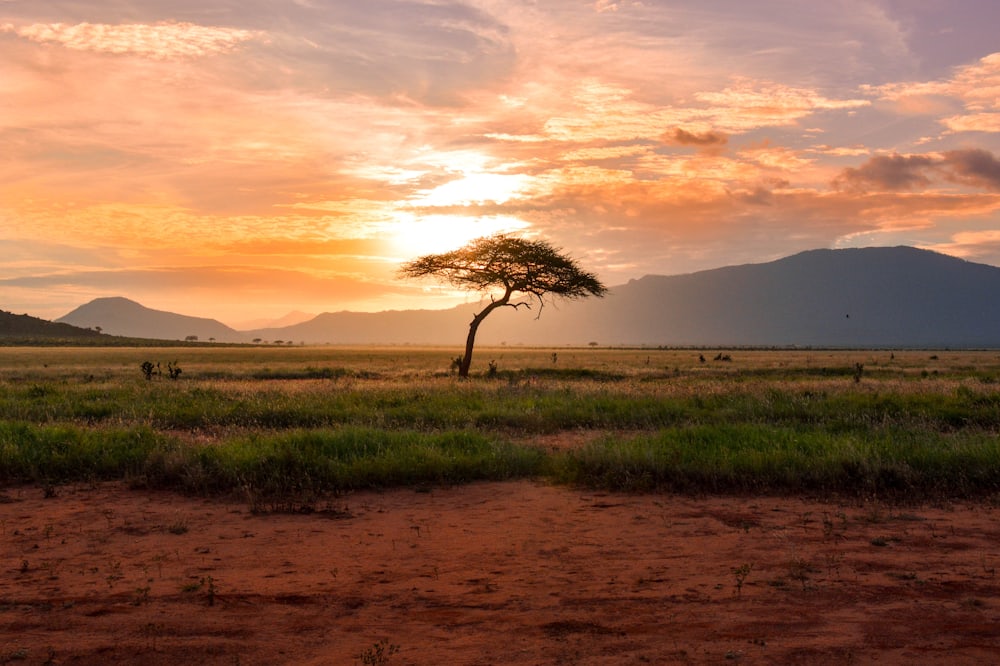 East Africa